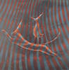 Salto al vacio - Angeles Gonzalez Zuelgaray