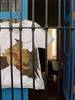 Prisionero del arte - Rafael Gerardo