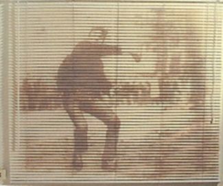 Outside. Graciela Sacco. 2000.